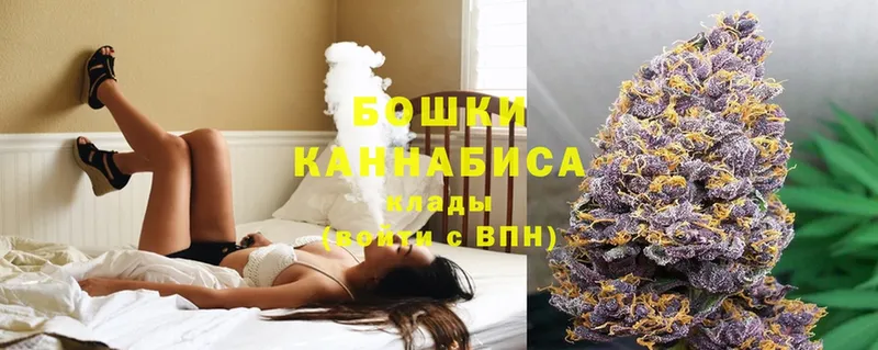 купить   Циолковский  Канабис SATIVA & INDICA 